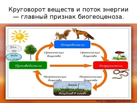 Понятие круговорота металлов