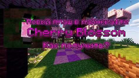 Понятие о плаще в Minecraft