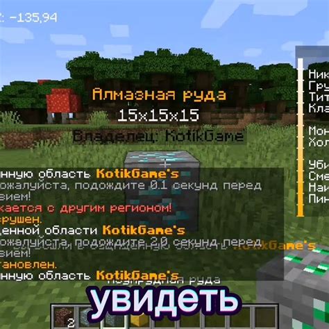 Понятие символики РГ на сервере Minecraft