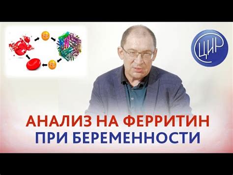 Понятие ферритина и его значение