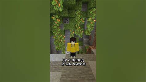 Популярные читы в Minecraft