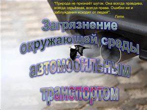 Последствия загрязнения автомобильным транспортом