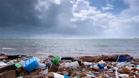 Последствия загрязнения водных ресурсов