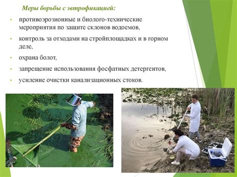 Последствия загрязнения водных экосистем