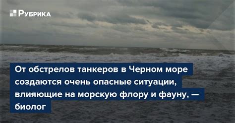 Последствия загрязнения на морскую фауну и флору