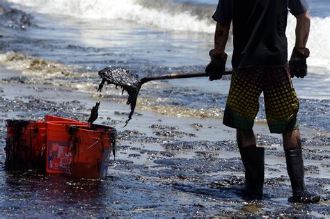 Последствия отсутствия борьбы с водяным налетом