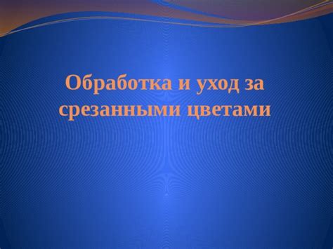 Последующая обработка и уход за заклепками