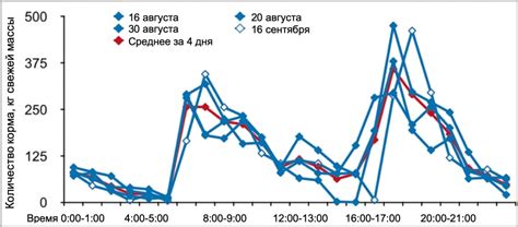 Постоянная доступность услуги