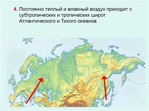 Постройка основных элементов территории