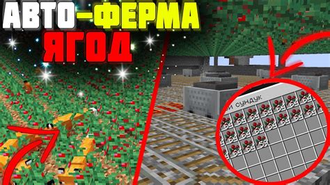 Постройка эффективной фермы