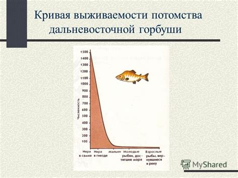 Потенциальные возможности