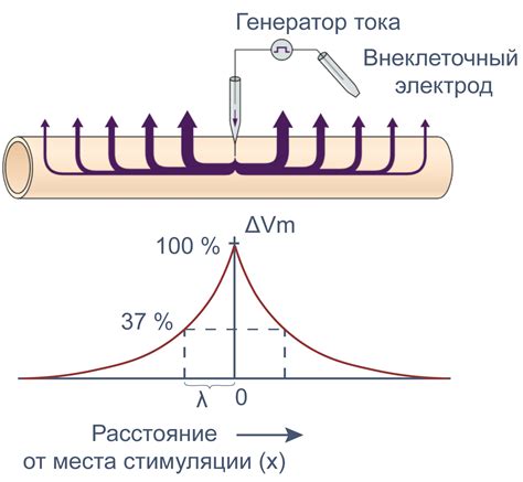 Потенциал влияния на свойства