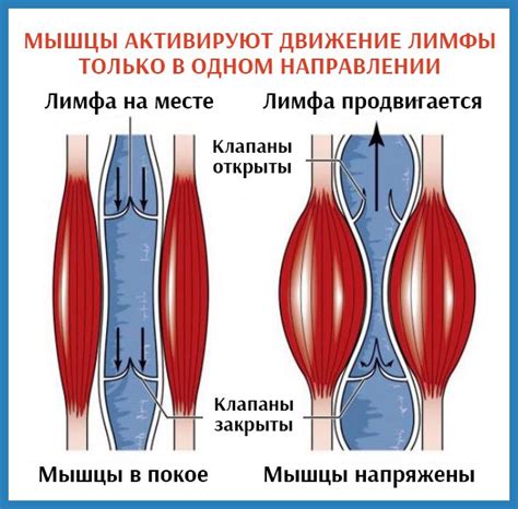 Потеря эластичности