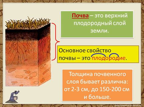 Почва и вода: главные источники