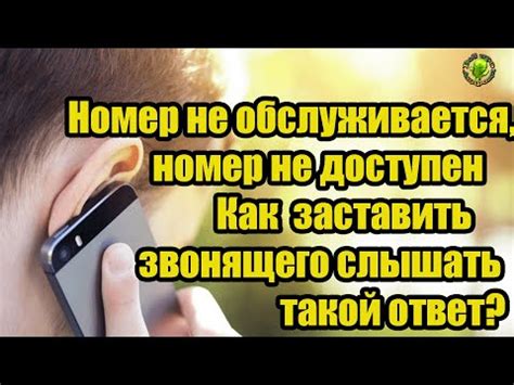 Почему важно знать контактную информацию телефон ова