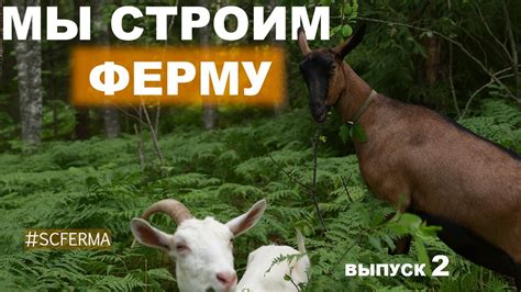 Почему важно создать ферму трезубцев