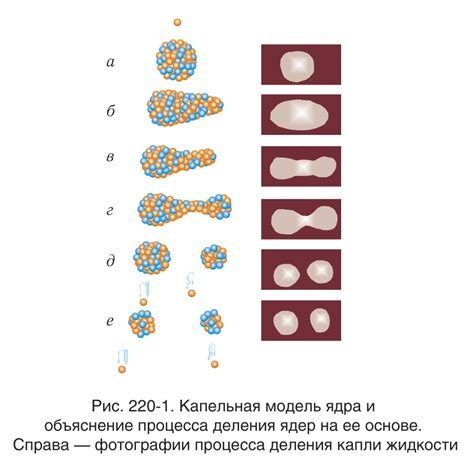 Почему возникает нестабильность у ядер тяжелых металлов?