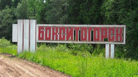 Почему выбирают Телеком Бокситогорск?