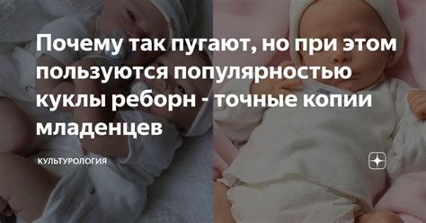 Почему милые сиды пользуются популярностью?