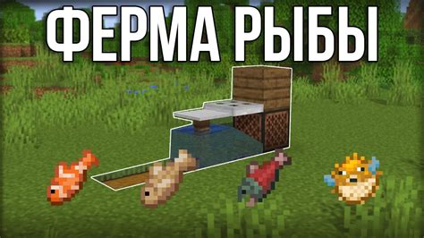 Почему нужна авто ферма рыбы в Minecraft: преимущества использования