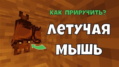 Почему приручить летучую мышь в Майнкрафте важно