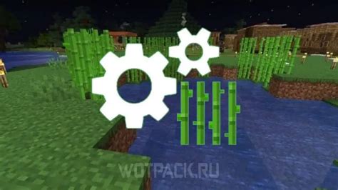 Правила посадки тростника в Minecraft