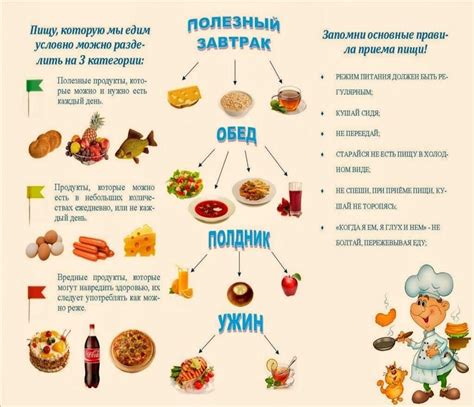 Правила правильного питания металлических элементов