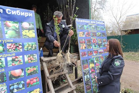 Правильная посадка семян и саженцев пищевых культур