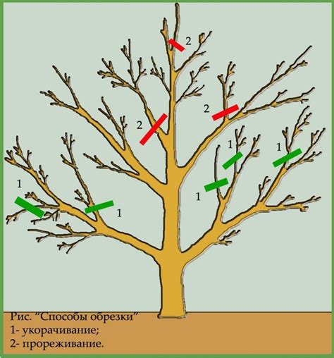 Правильная техника кладирования дерева на металл