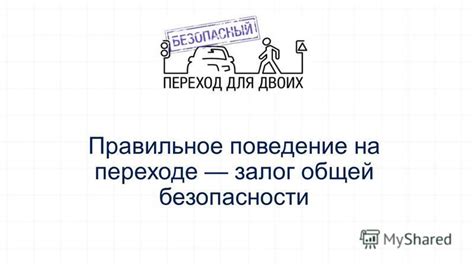 Правильное поведение - залог дружбы