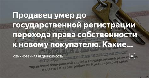 Правовые последствия незаконной передачи собственности