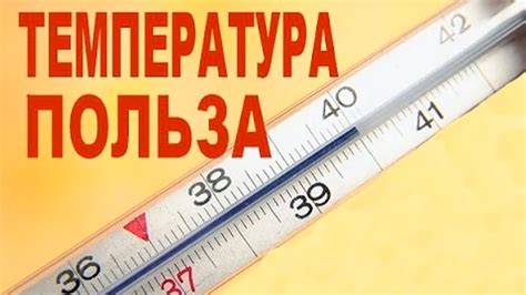 Практическое применение знаний о влиянии температуры на трение