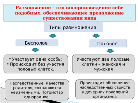 Практическое руководство по запуску процесса размножения