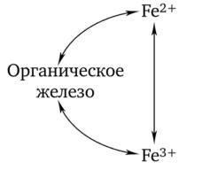 Превращение железа в ржавчину