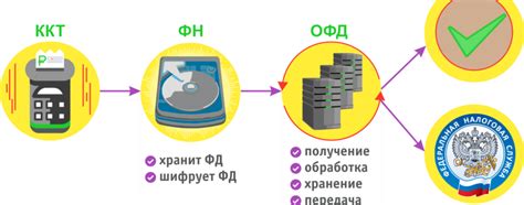 Преимущества использования ОфД Контур в бухгалтерии и налоговом учете