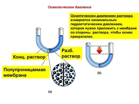 Преимущества использования коллоидных растворов металлов