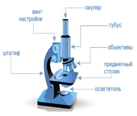 Преимущества использования лупы для изучения металла