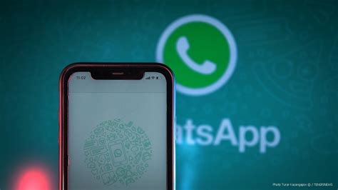 Преимущества использования WhatsApp в Европе