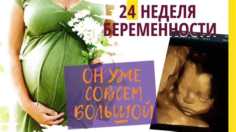 Преимущества и возможности скина с беременной девушкой