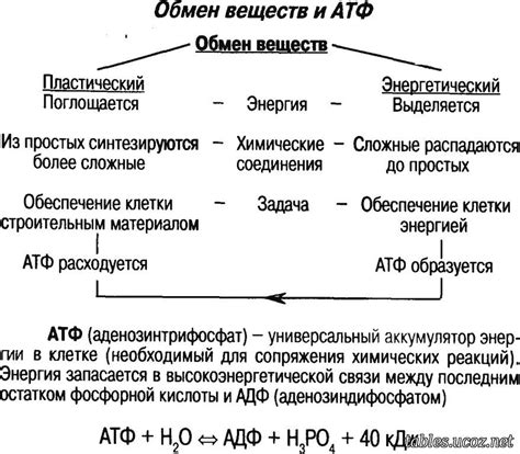 Преимущества и условия обмена