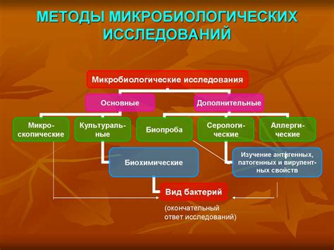 Преимущества микробиологических методов перед традиционными методами