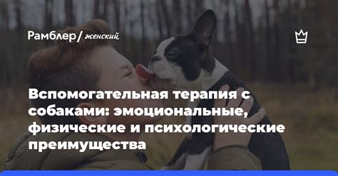 Преимущества мода с собаками