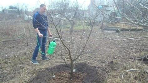 Преимущества применения медного купороса для покрытия металла