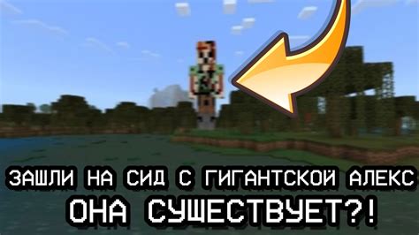 Преимущества сида гигантской алекс