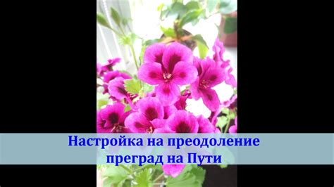 Преодоление преград на пути к популярности в Майнкрафт