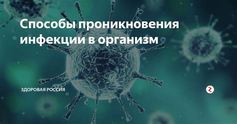 Препятствие для проникновения инфекции