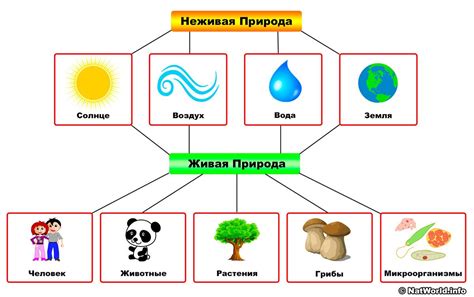 Привнесите элементы природы