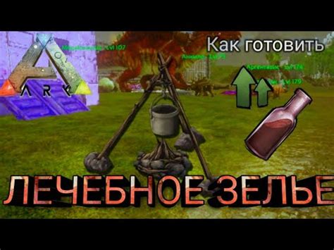 Приготовление лечебного зелья