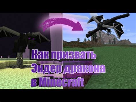 Призвать яйцо дракона в Minecraft командой: подробный гайд