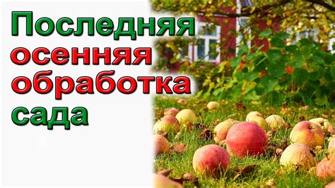 Приклеиваем насквозь: секреты успешной обработки